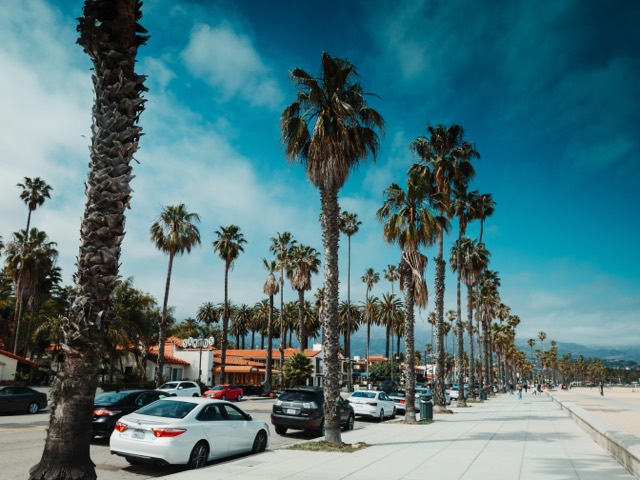 Palm trees and parked cars along a bright California street